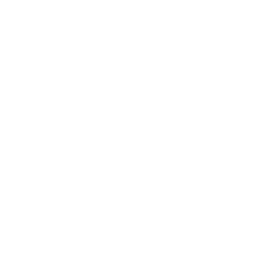 budget